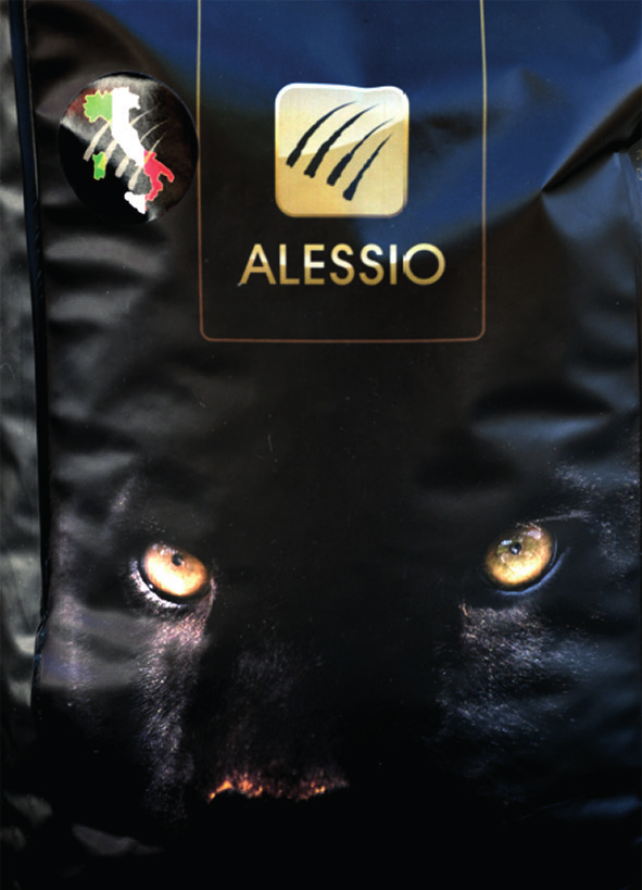 Alessio il Vero